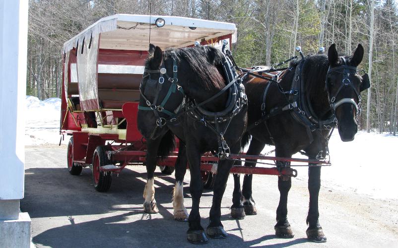 Mackinac Island horse drawn taxi