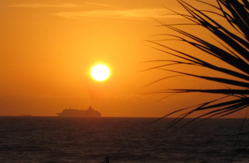 Cruise ship and plam tree ocean sunrise