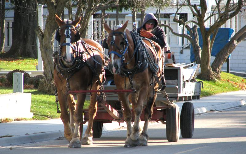 Hauling freight with horse and wagon on Mackinac Island