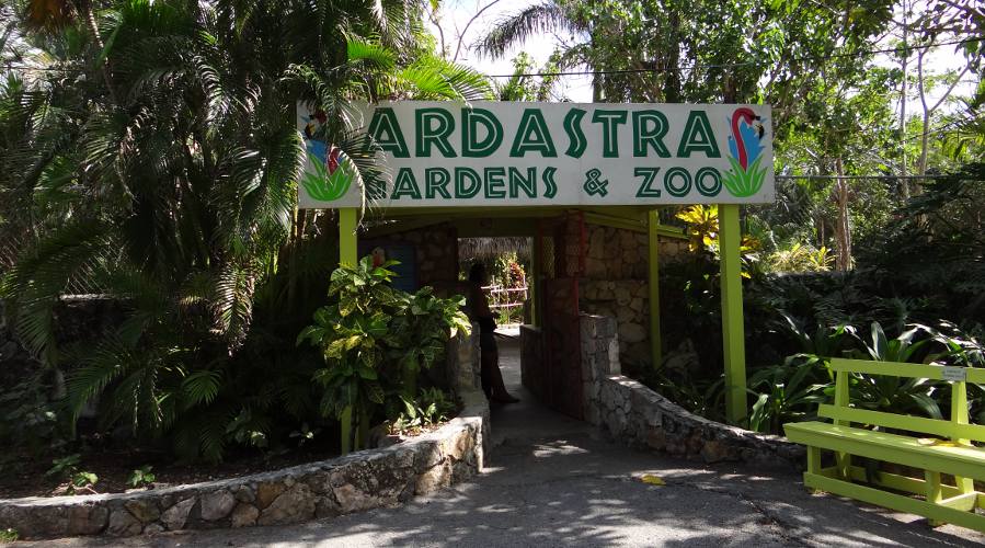Ardastra Gardens and Zoo - Nassau, The Bahamas