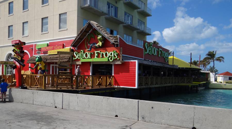 Seor Frog's - Nassau, Bahamas
