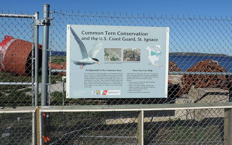 St. Ignace Common Tern Reserve