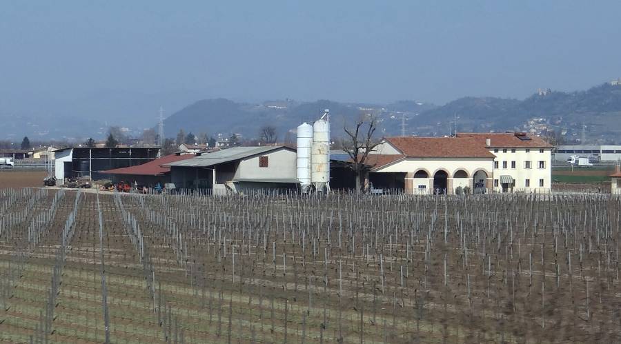 Italian farm and vineyard
