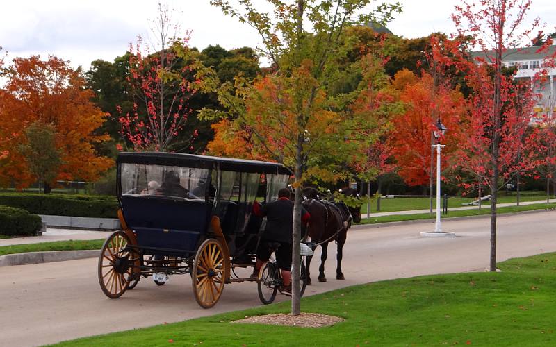 Mackinac Island horse and carriage with fall colors