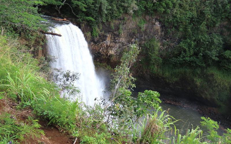 Wailua Falls - Kauai, Hawaii