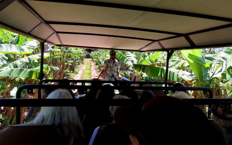 Kilohana Plantation orchards