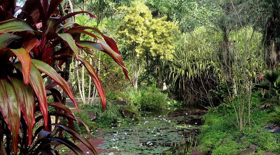 Waimea Botanical Gardens