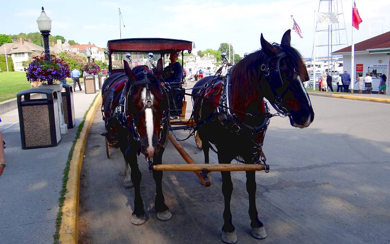 Arrowhead Carriages