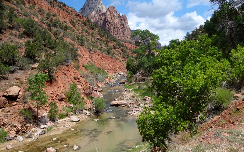 Virgin RIver in Zion National Park