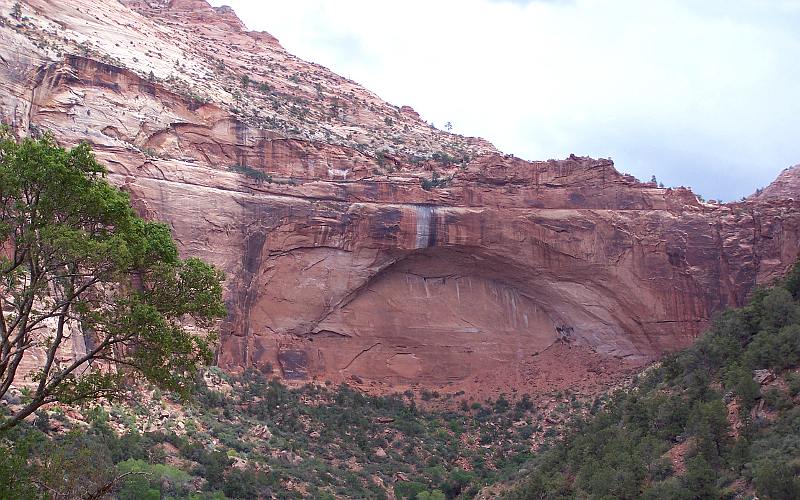 The Great Arch - Zion National Park