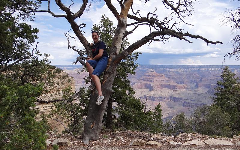 Climbing a tree on the lip of the Grand Canyon